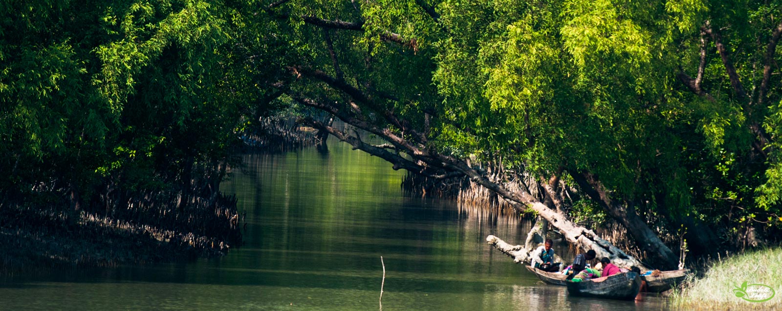 Sundarbans